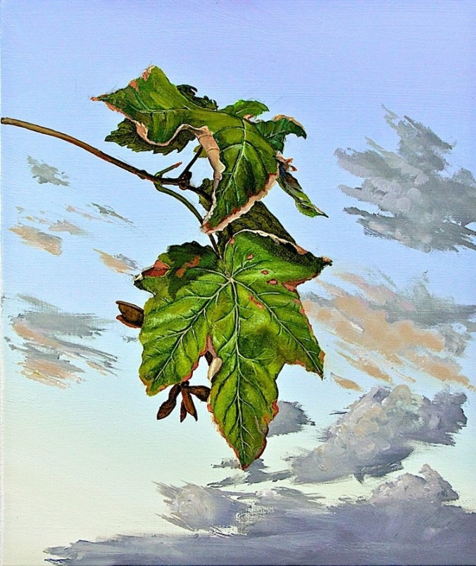 Julian Perry- enening Sycamore 2014